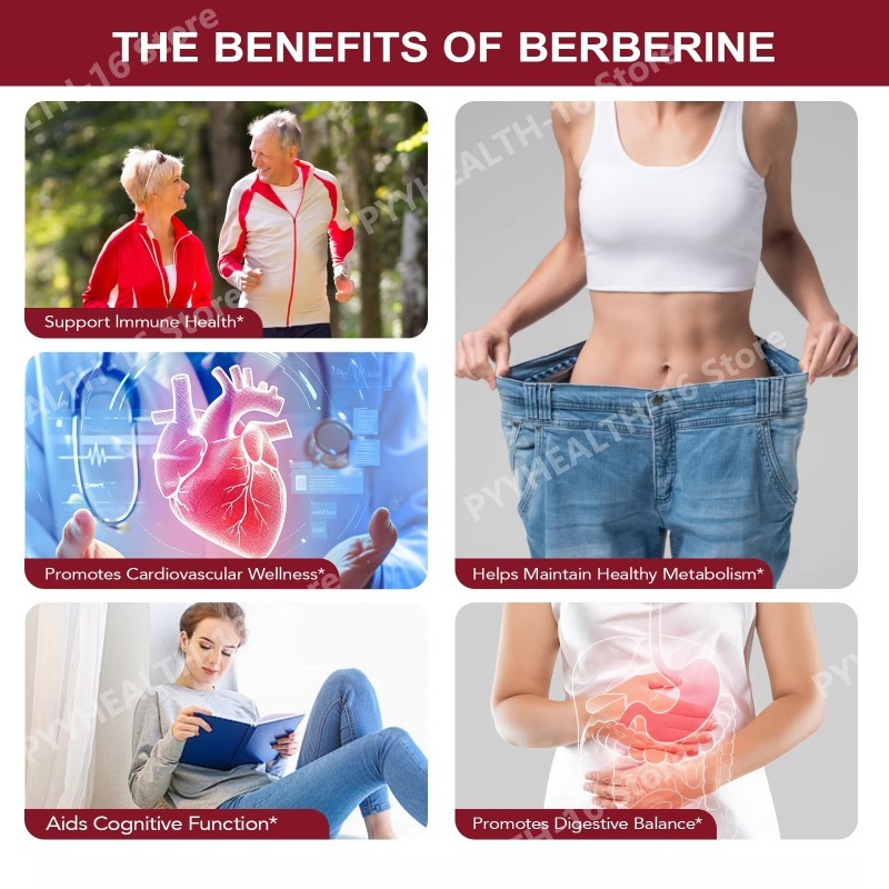 Cápsulas de Berberina 1200mg p - Berberine Hcl Capsule reseña y precio